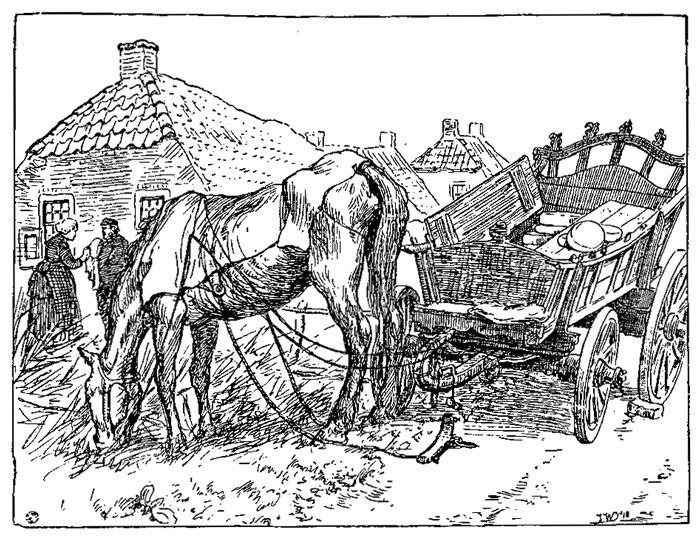 De Noarger rún foar &rsquo;e
tsjiiswein.