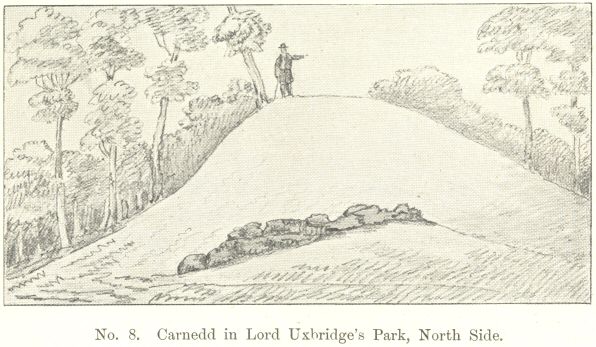 No. 8.  Carnedd in Lord Uxbridge&rsquo;s Park, North Side