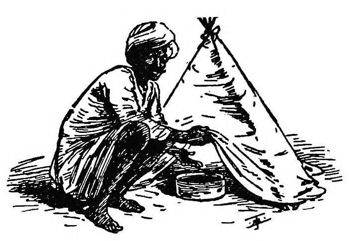 The mango seed inserted