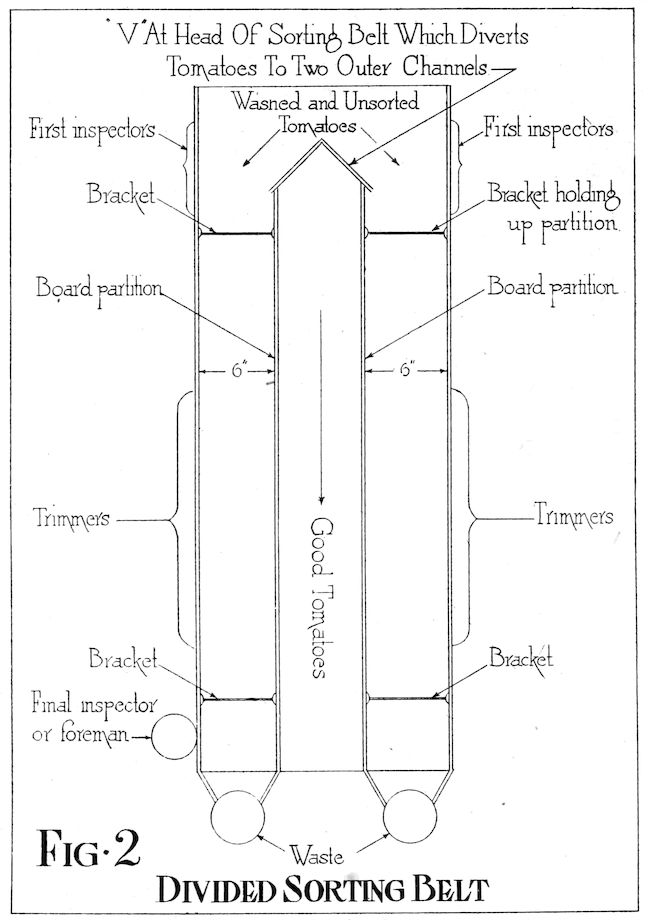 FIG·2 DIVIDED SORTING BELT
