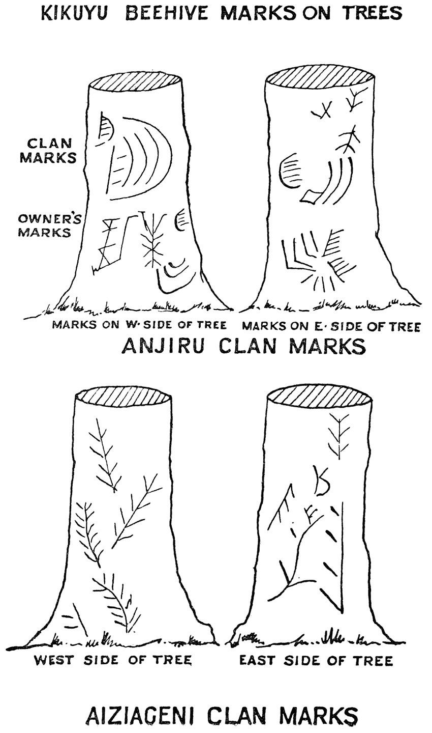 KIKUYU BEEHIVE MARKS ON TREES
CLAN MARKS
OWNER’S MARKS
Marks on W. Side of Tree
Marks on E. Side of Tree
ANJIRU CLAN MARKS
West Side of Tree
East Side of Tree
AIZIAGENI CLAN MARKS