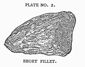 PLATE NO. 2. SHORT FILLET. PLATE NO. 2. SHORT FILLET.