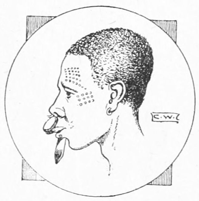 Mittu Woman, showing Lip Ornament and Tattooing by Scars
(Cicatrisation)