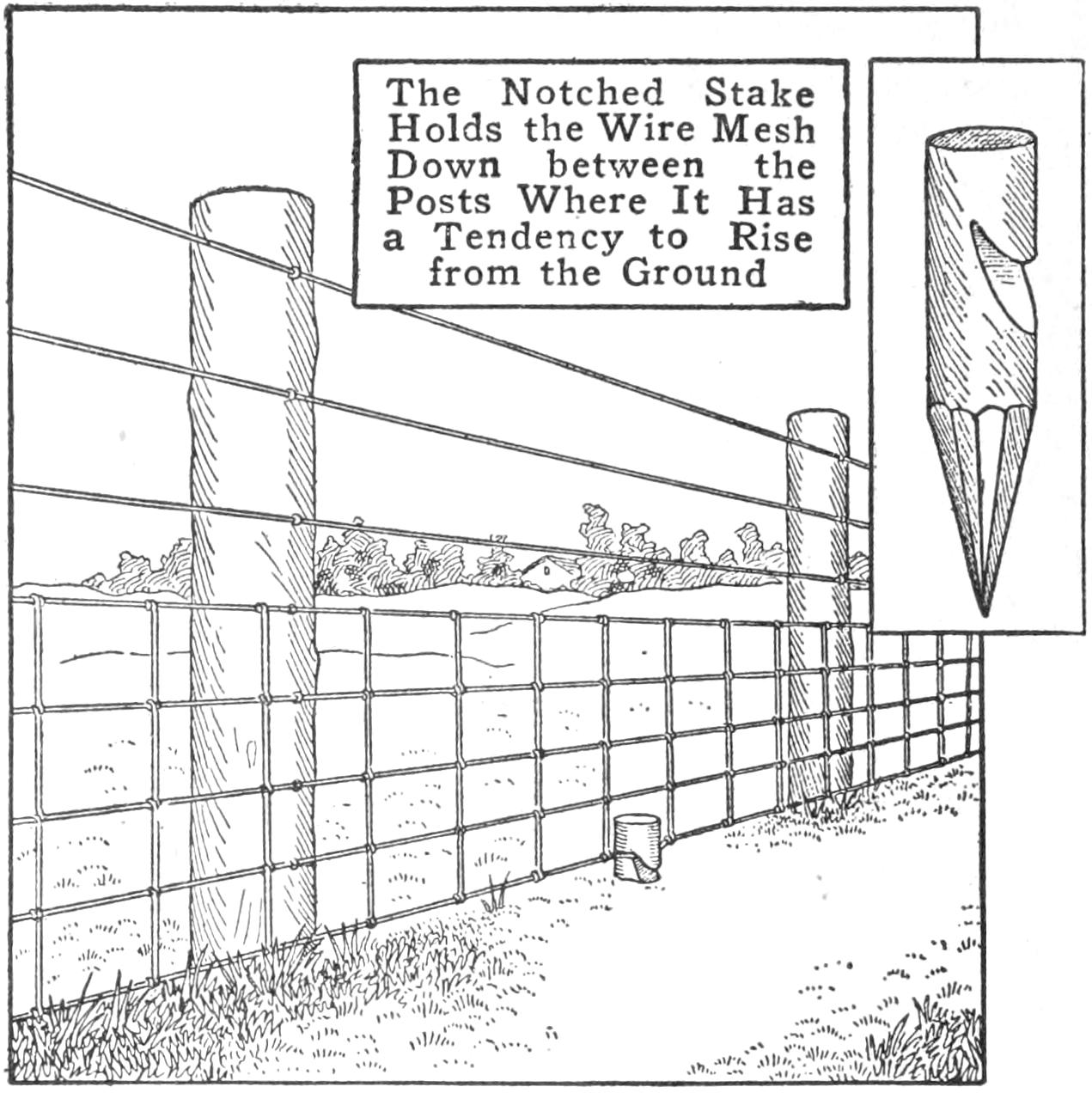 Additional stake to hold down fence