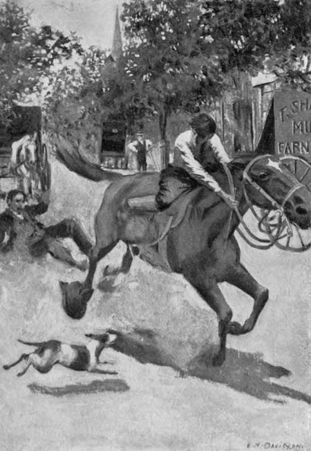 Philip could not tell whether the horse’s hoofs struck the
man or not