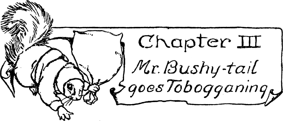 Chapter III
Mr. Bushy-tail goes Tobogganing