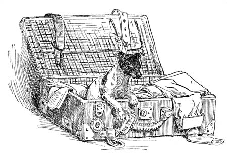 Sitting comfortably in the middle of Bob’s best silk
negligée shirt