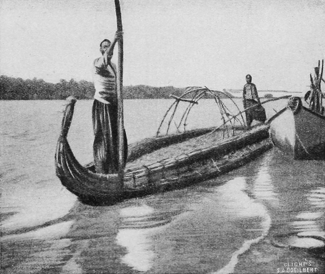 Papyrus Boat on Lake
  Tchad