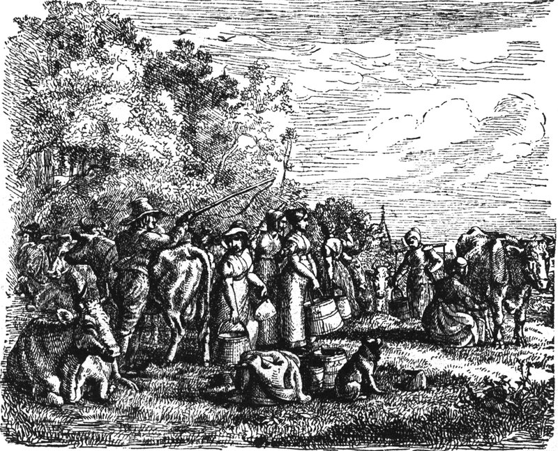 Aus Rumohrs 'Der Hunde
  Fuchsenstreit'