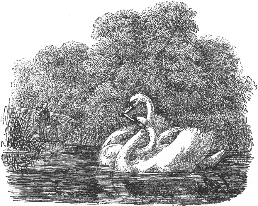 Lithographie aus 'Noch
  50 Fabeln'