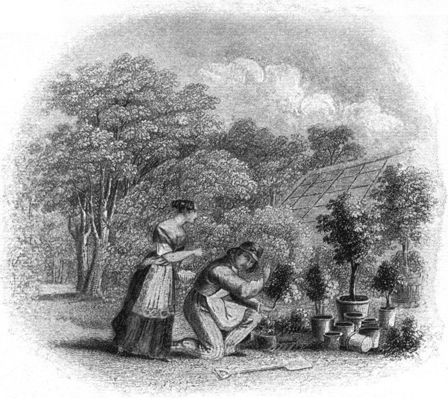 Aus
  'Hannchen und die Küchlein'