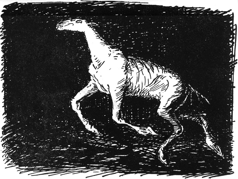 Das abgemagerte Pferd im
  finsteren Souterrain