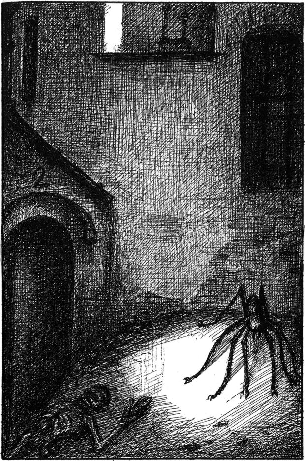 Leichen und unheimliche Tiere
  in den Straßen der Stadt