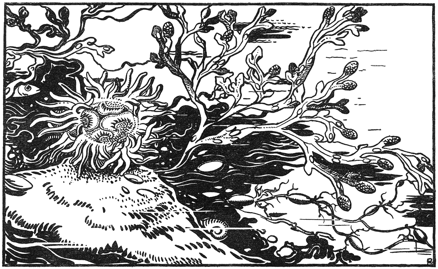 HET NOORDEN EN DE EENDRACHT