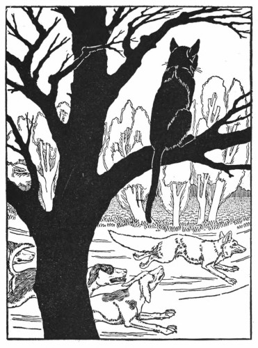 Title or description