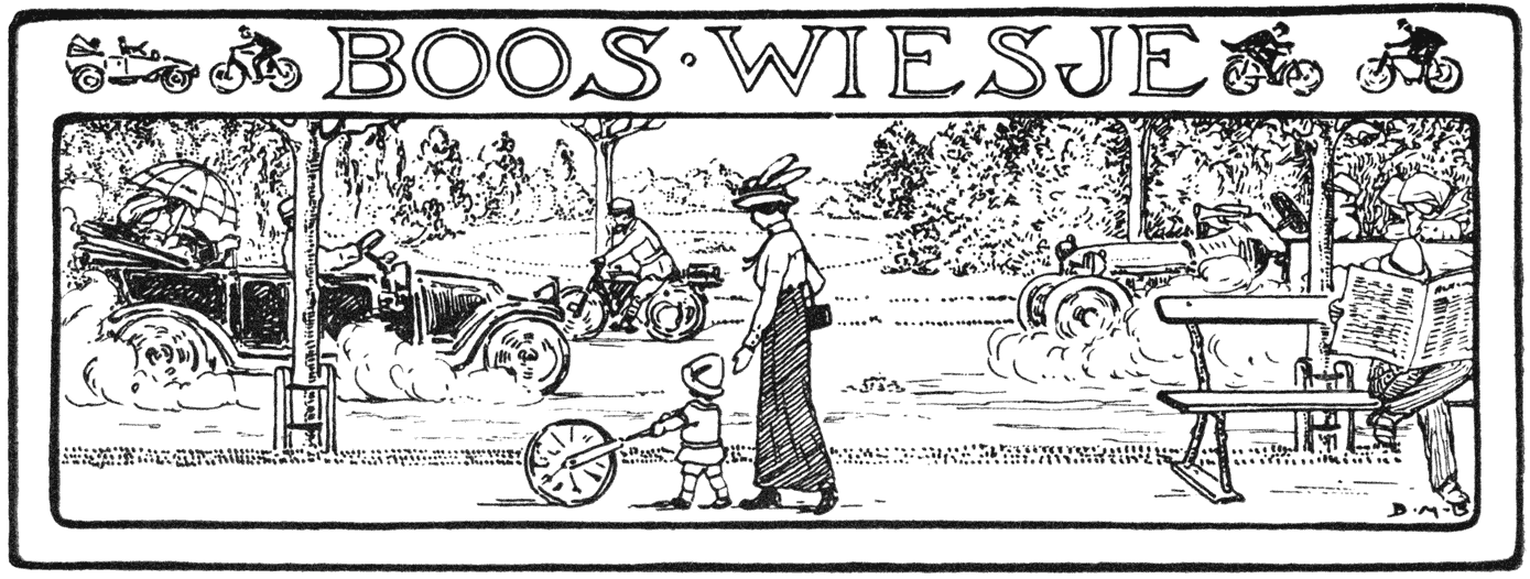 BOOS WIESJE