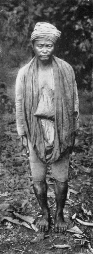 Tolambátu, von vorne gesehen