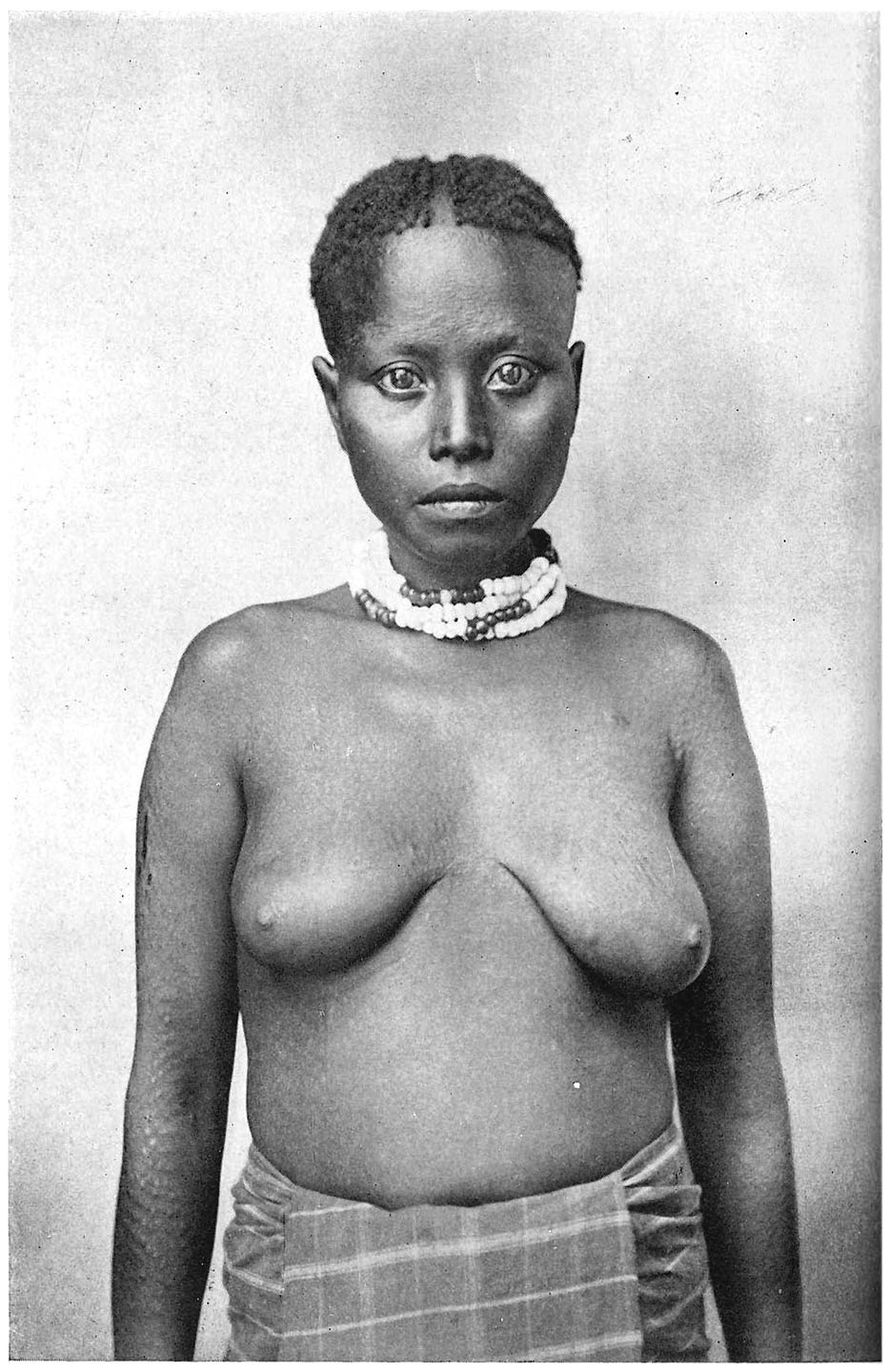 Plate II
