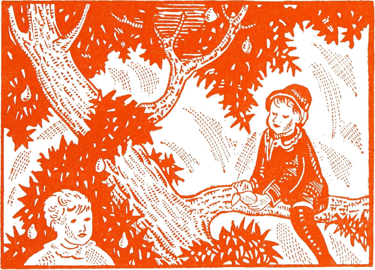 Children in tree